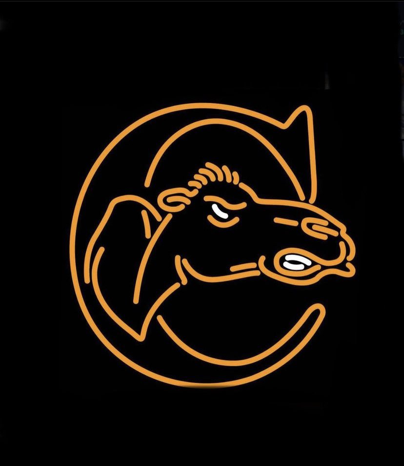 Brandon3BrownJr's tweet photo. #AGTG I am extremely blessed to to say I have received my first Division 1 offer from the University of Campbell!!

Thank you @CoachPFMiller for believing in me , @CoachTroop3 #Rollhumps🐪

@JScruggs247 @ChadSimmons_ 
@adamgorney @ShoeWolfPack https://t.co/59C28gkUe1