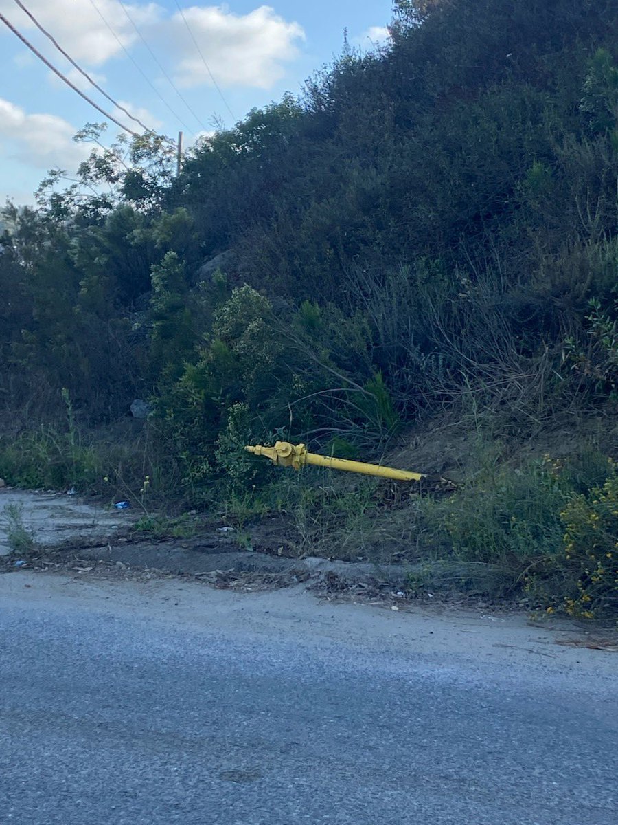 Patrick Hays tweet media