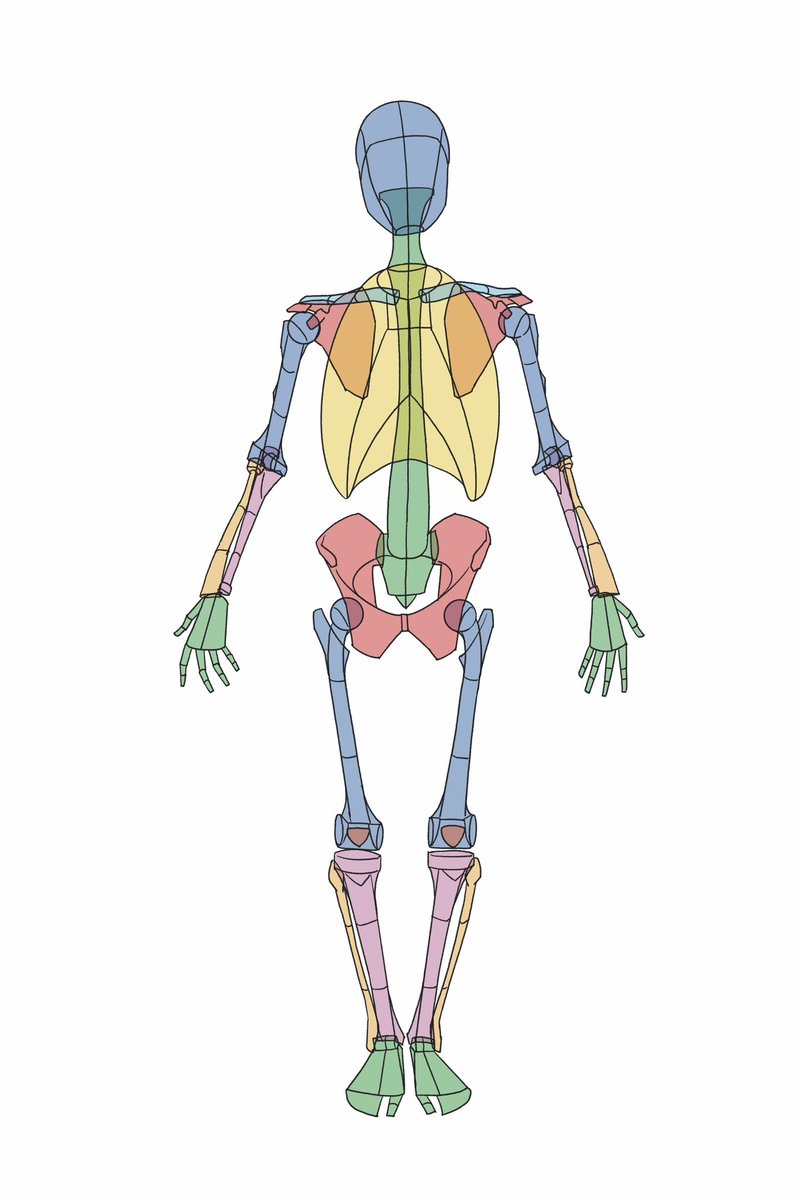 「」|伊豆の美術解剖学者のイラスト