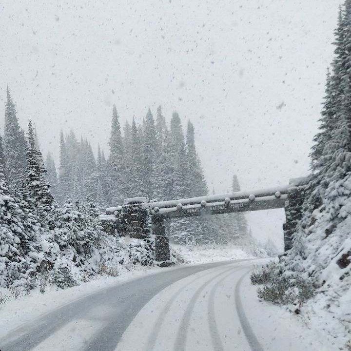 Snoqualmie Pass (@snoqualmiepass) on Twitter photo Photo from SR 410/Chinook Pass - today! Photo from SR 410/Chinook Pass - today!