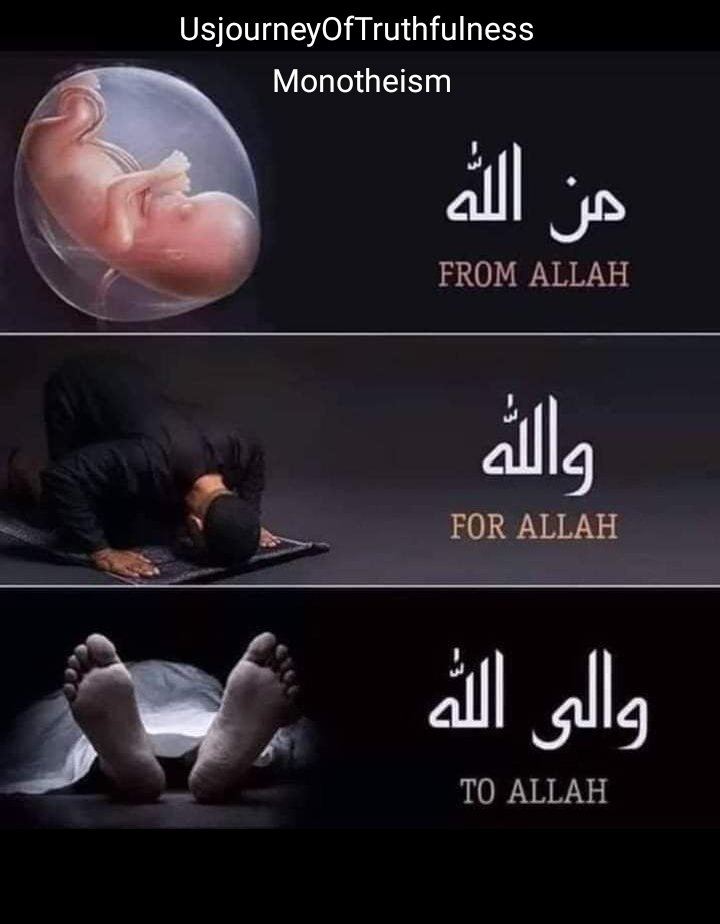 SyedaSaba12's tweet photo. "خدایا مجهے بخش دے"عجز کا کلمہ ہےاورعجزکاکلمہ ہی جنت کی آخری قیمت ہے☘️
خدا تعالیٰ ھمارےدلوں کاحال خوب جانتاہے♥️انسان کی استقامت کو آزماتاھے
مگراپنےموحد بندوں کی دعاکبھی رائیگاں نہیں جانےدیتا!🤲
#NeverGiveUp
#usJourneyOfTruthfulness
#SNG
#FromALLAH
#ForALLAH
#ToALLAH https://t.co/pEM4e0WCza