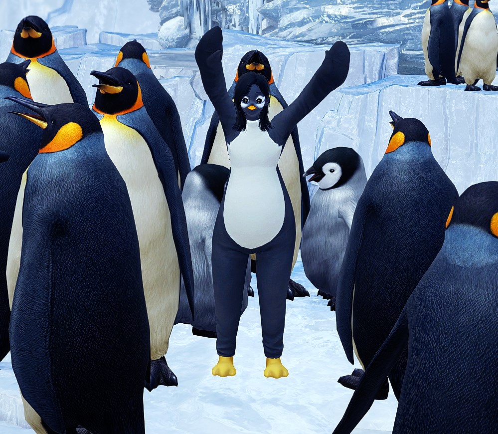 mint_clem's tweet photo. @playlostark 🐧penguin🐧

IGN: ẞc
NAW Mari https://t.co/2FpLDRlXuq