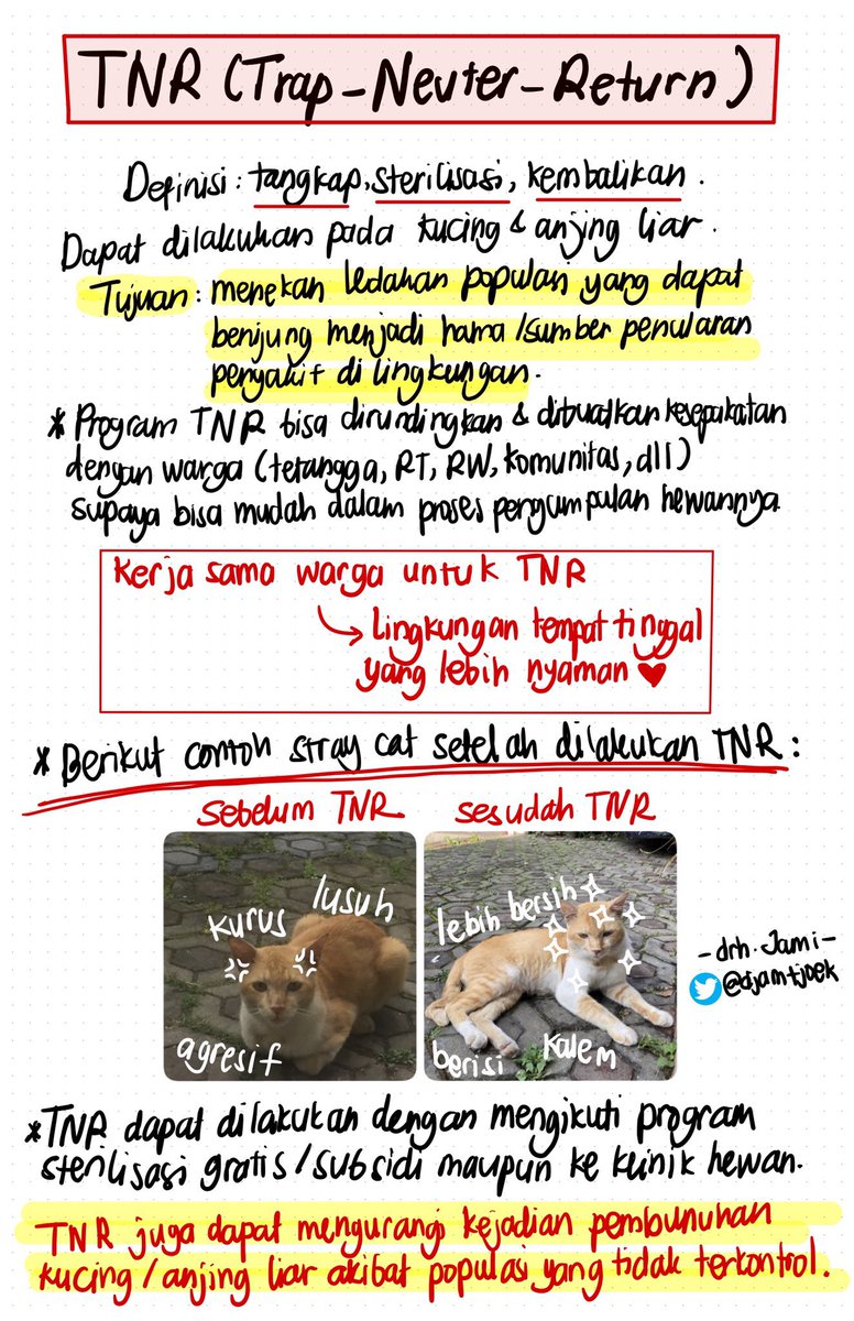djamtjoek's tweet photo. Klo blm mampu justru yg sangat disarankan adalah melakukan TNR ya kak.

Ngasih makan kucing liar itu justru malah fully support mereka utk beranak-pinak yg akhirnya jd hama yg meresahkan di lingkungan.

Selengkapnya mengenai TNR:

https://t.co/wBTl3tPekm

Ada jg info grafiknya: https://t.co/ReCawfLsJh
