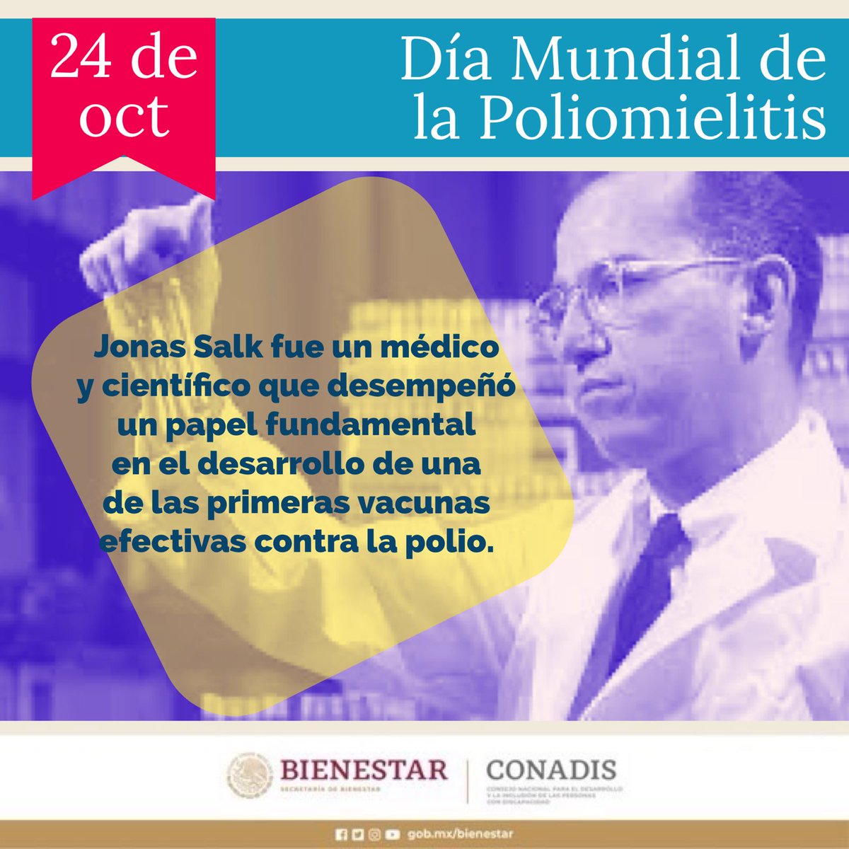 Hoy es el Día Mundial contra la Poliomielitis. Recordamos a Jonas Salk, cuyo trabajo revolucionario en vacunas cambió la historia. Sigamos luchando para erradicar esta enfermedad para siempre. gob.mx/conadis/articu…