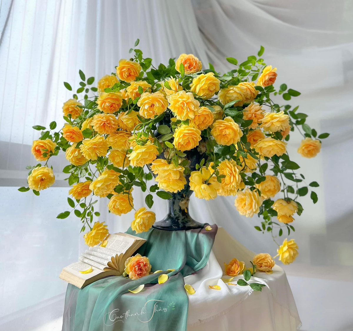 MaiPhuong1644's tweet photo. Chúc cả nhà ngày mới nhiều năng lượng nha. Sau bao ngày trông mong thì tick của mình đã về rồi. Cùng nhau săn bắt 🦊🦊 nào 😍😍
#cheos #flback https://t.co/fgTpUifP2H