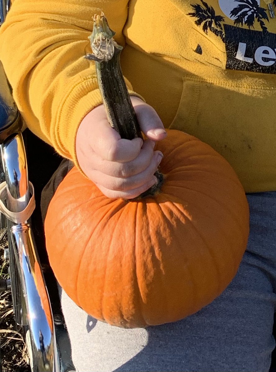 LifeSkillsPHS's tweet photo. Today we met our EP friends at Yellow River Farms. We went on a wagon ride to the pumpkin patch, chose some pumpkins, and took part in some other fun fall activities at the farm. #PantherPride https://t.co/xjg5X12wyU