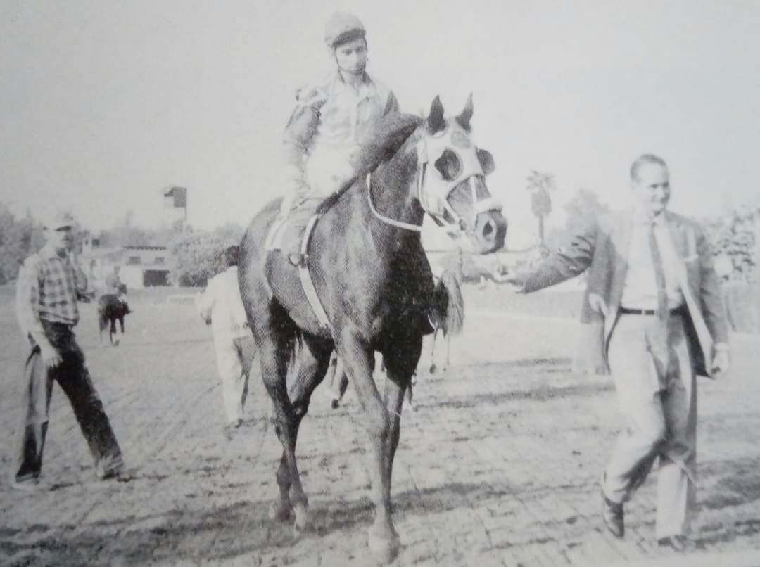 HORSERACING1002's tweet photo. LEA-B. 🇺🇸1956
(SAGITTARIUS - ALAUNA BY BEST SELLER)
#LeaB https://t.co/YO4GhjGLIB