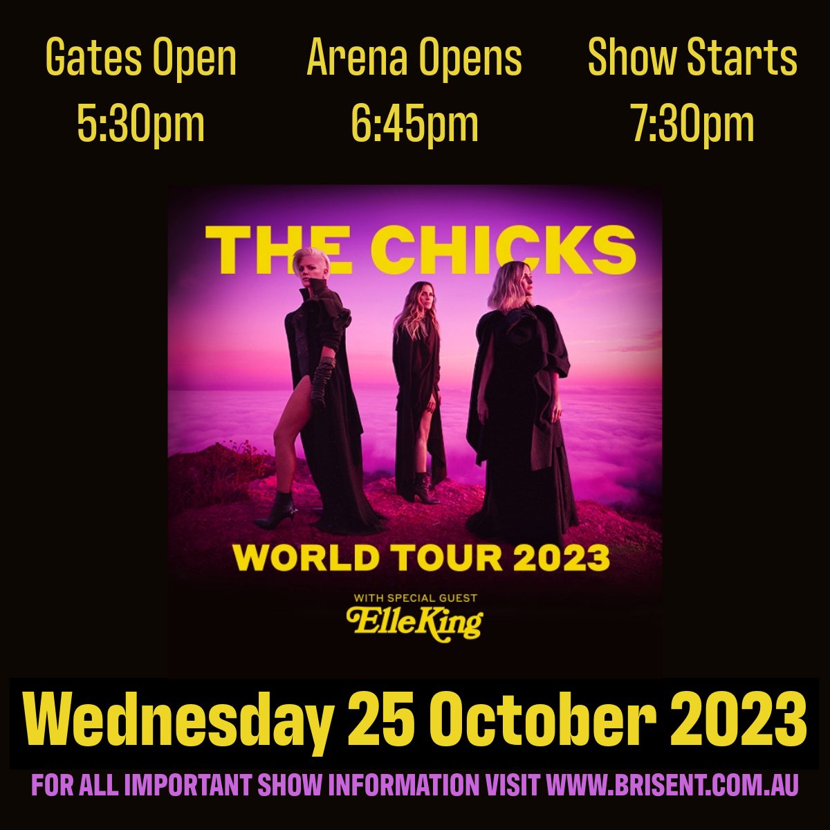 Brisbane! Night two!! ✌️ Let's do this! Tickets: thechicks.com/tour #CHX2023