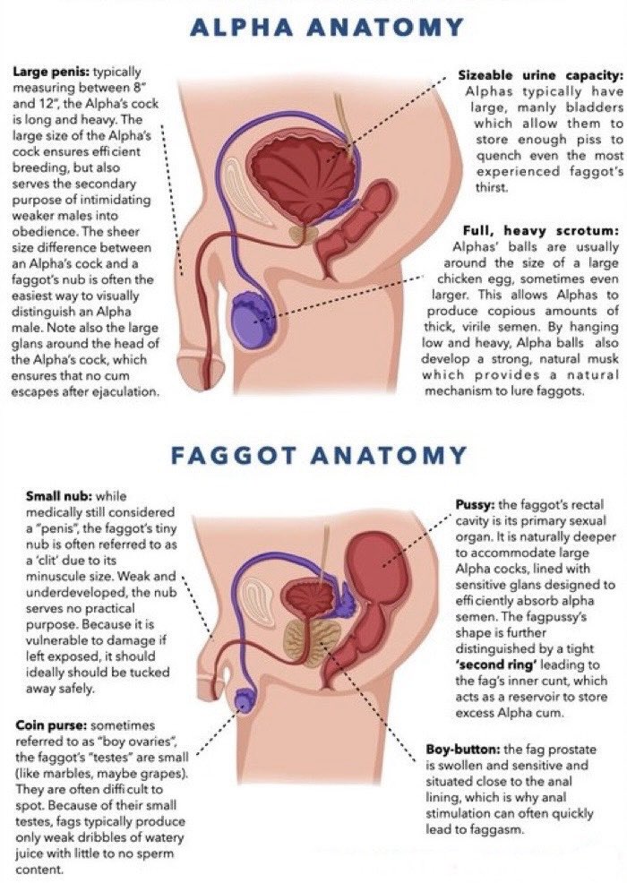 depraved_cunt's tweet photo. What r the physical differences between an #Alpha or #RealMan &amp; us #fags? This chart should help clear things up!
#faglife #fagnature #faghealth #malechastity #malehierarchy #fagology #alphaworship #alphaadoration https://t.co/CI6RIktjmV