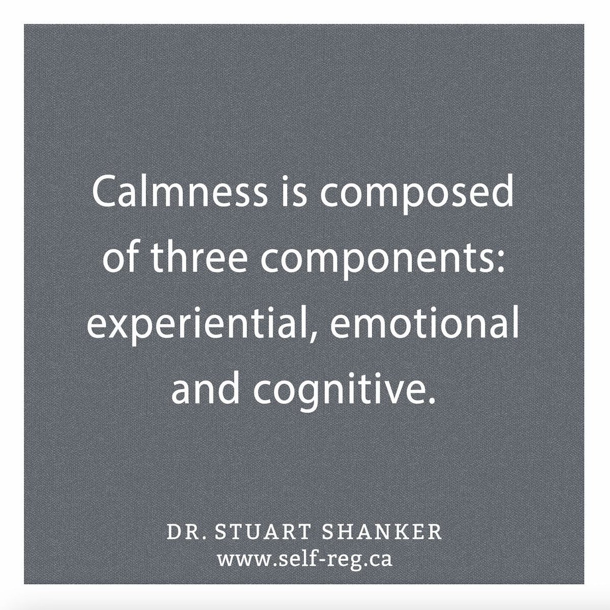 "Calmness is composed of three components: experiential, emotional and cognitive." ~ Stuart Shanker
self-reg.ca

#ShankerWisdom #SelfReg