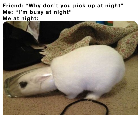 GuineaDad (@guineadad) on Twitter photo 