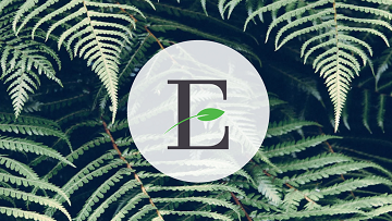 Env Compliance Conf tweet media