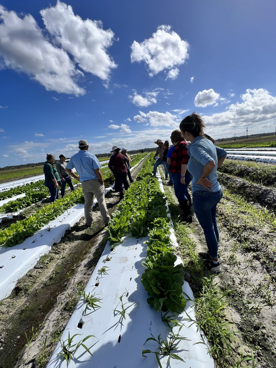 UF/IFAS Extension Water Resources (@ifaswater) on Twitter photo Thanks to everyone who joined our #FarmTour today. It was a fantastic day of learning and sharing insights on #AgBMP in #StJohnsCounty <a href="/sandy_horizons/">Prissy Fletcher</a> <a href="/UF_IFAS/">UF IFAS Solutions</a> <a href="/UF_HAEC/">UF_HAEC</a> Thanks to everyone who joined our #FarmTour today. It was a fantastic day of learning and sharing insights on #AgBMP in #StJohnsCounty <a href="/sandy_horizons/">Prissy Fletcher</a> <a href="/UF_IFAS/">UF IFAS Solutions</a> <a href="/UF_HAEC/">UF_HAEC</a>