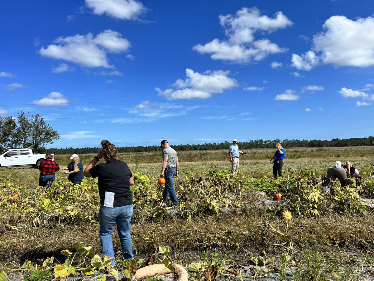 UF/IFAS Extension Central Florida Water Resources tweet media