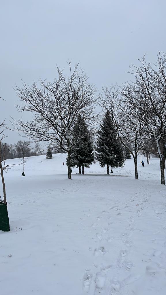 lilytoleelee's tweet photo. Winter is coming and it won’t be long before you can go skiing. https://t.co/GrZOOHFvw0