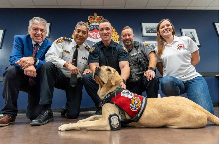 ChiefManak's tweet photo. Please welcome Occupational Stress Intervention dog, Daisy to VicPD. Daisy’s reaction to being sworn in at @vicpdcanada was priceless (see video). Daisy will help support our staff dealing with trauma &amp; emotional distress.  She’s already a fan favourite. Thanks @WoundWarriorCA https://t.co/O1BIUw0xBt