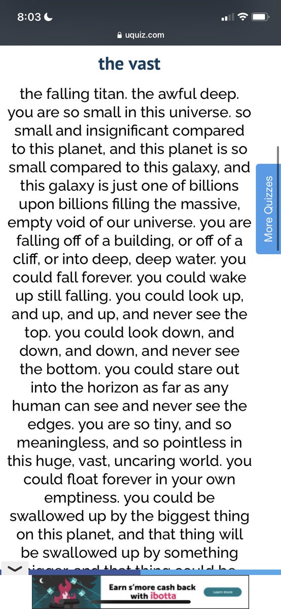 blitz / kiki ⚡️🐯 tweet media