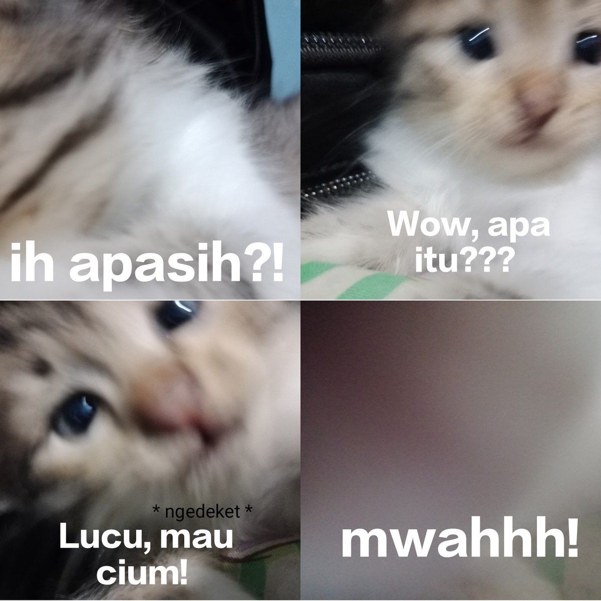Selamat pagi semua di sini Milo berbicara!! Milo mau ijin lrp di karena Mun nya Milo sudah masuk ke semester akhir harus fokus !! Maaf kalo kemarin Milo ada salah yaaa hehe love you all