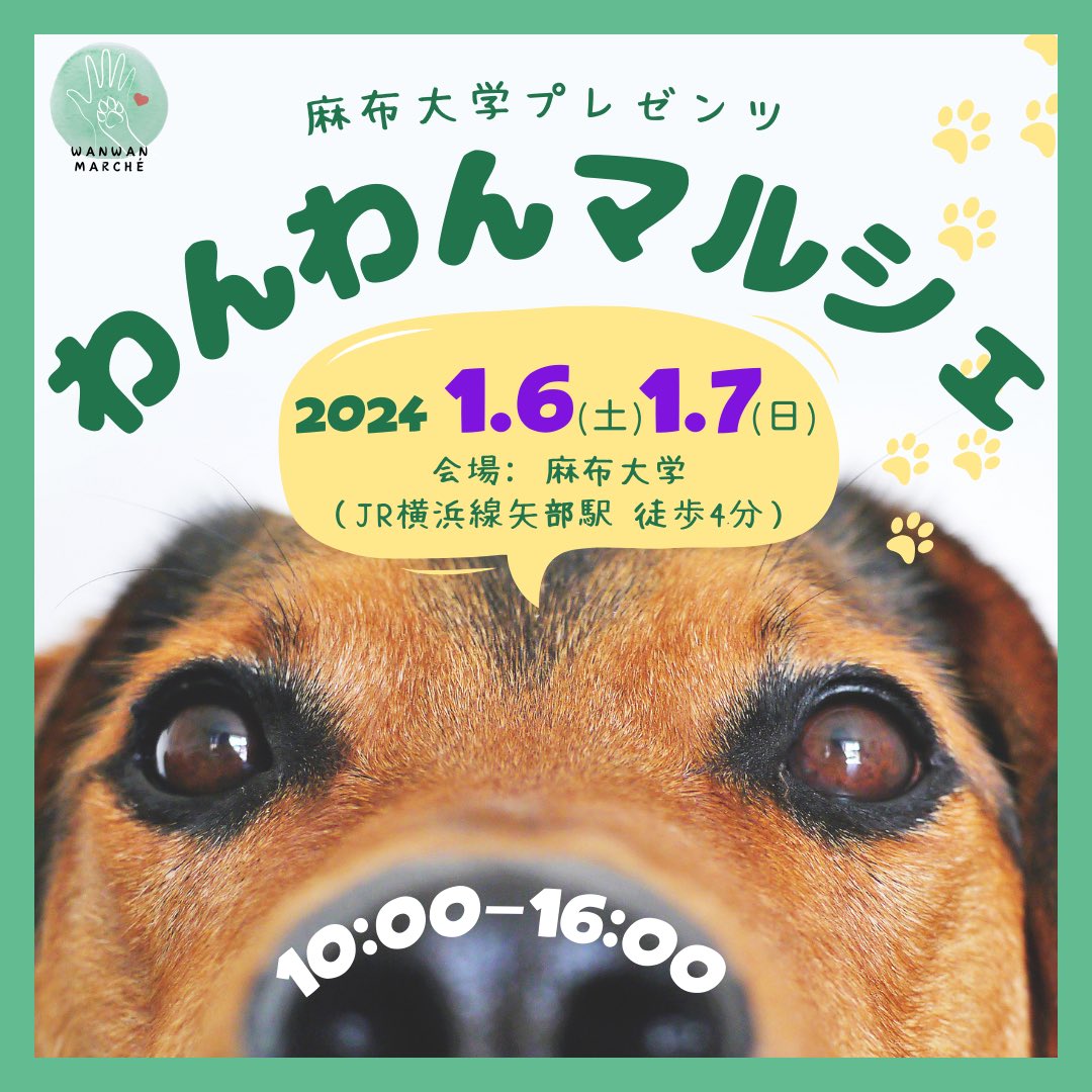 ペット看護士。 愛玩動物看護師コース(3年)/動物衛生看護コース(2年) – つくば