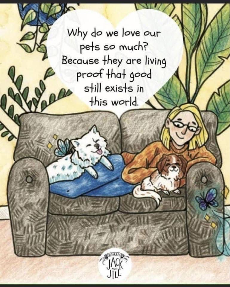 I need a time line cleanse! Anyone want to share your fur baby with me?