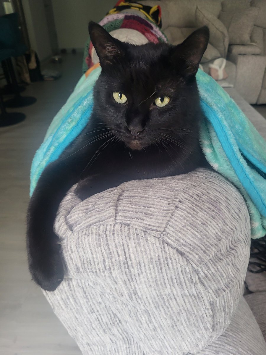 Steven Vesci tweet media