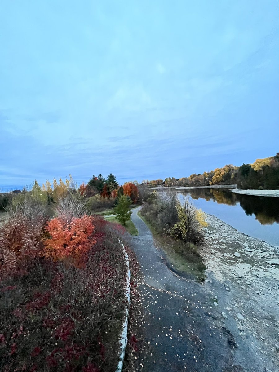 MichelleKisil's tweet photo. Another beauty night!
#OcsbWellness #GetOutside #RunViews #Seasons #Reflection https://t.co/2cBi7DU8sm