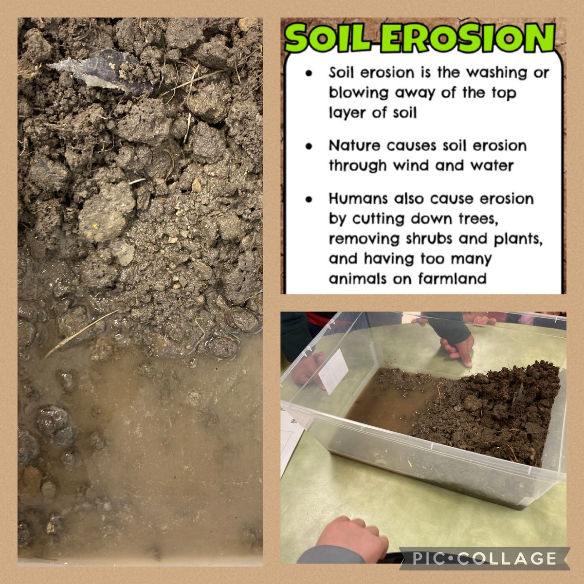 Mr. Guse tweet media