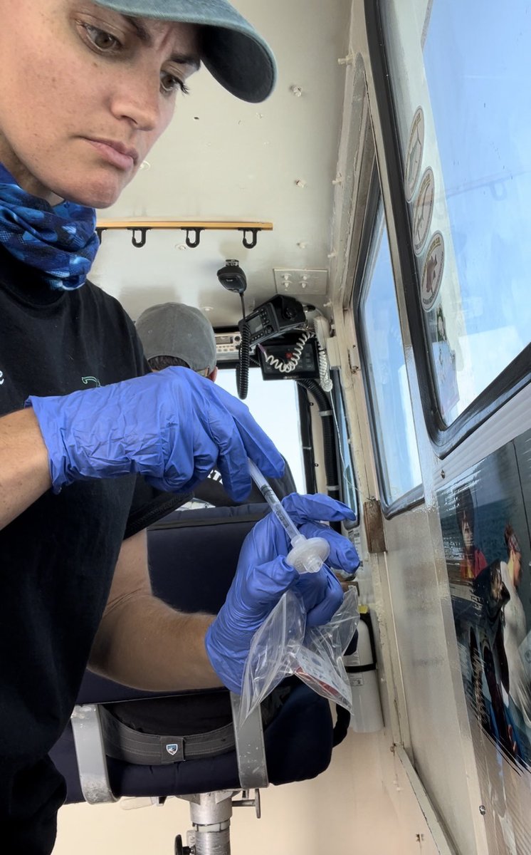 Samantha Bengs (@sambengs) on Twitter photo #eDNA sampling getting more and more efficient! Thanks <a href="/JonahVentures/">JonahVentures</a> for sharing the Baleen eDNA Filtering System for <a href="/LasleyRasher/">Rachel Lasley-Rasher</a> lab to test out in the field. Great setup and easy to use on a boat, too! #eDNA sampling getting more and more efficient! Thanks <a href="/JonahVentures/">JonahVentures</a> for sharing the Baleen eDNA Filtering System for <a href="/LasleyRasher/">Rachel Lasley-Rasher</a> lab to test out in the field. Great setup and easy to use on a boat, too!