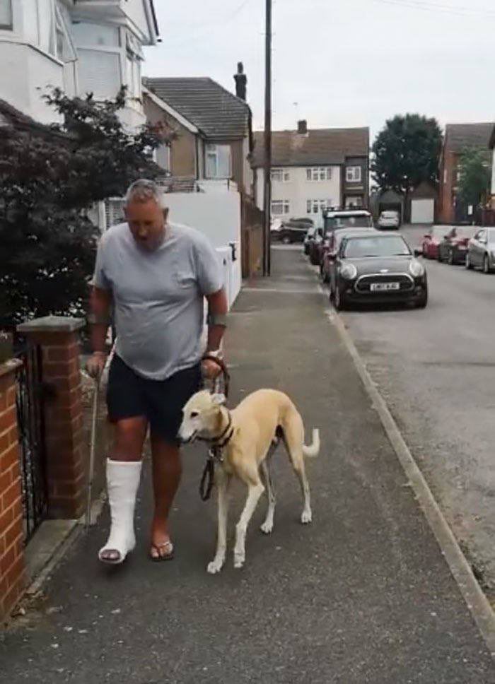 DiloConPerritos's tweet photo. En Reino Unido, un hombre se gastó más de 600 dólares, en estudios del veterinario para encontrar la cura a su perrito que cojeaba

Al final no encontró nada, pues resulta que el galgo, sólo imitaba a su dueño que usaba muletas,  debido a una fractura.

Son lo mejor del mundo ❤️🥺