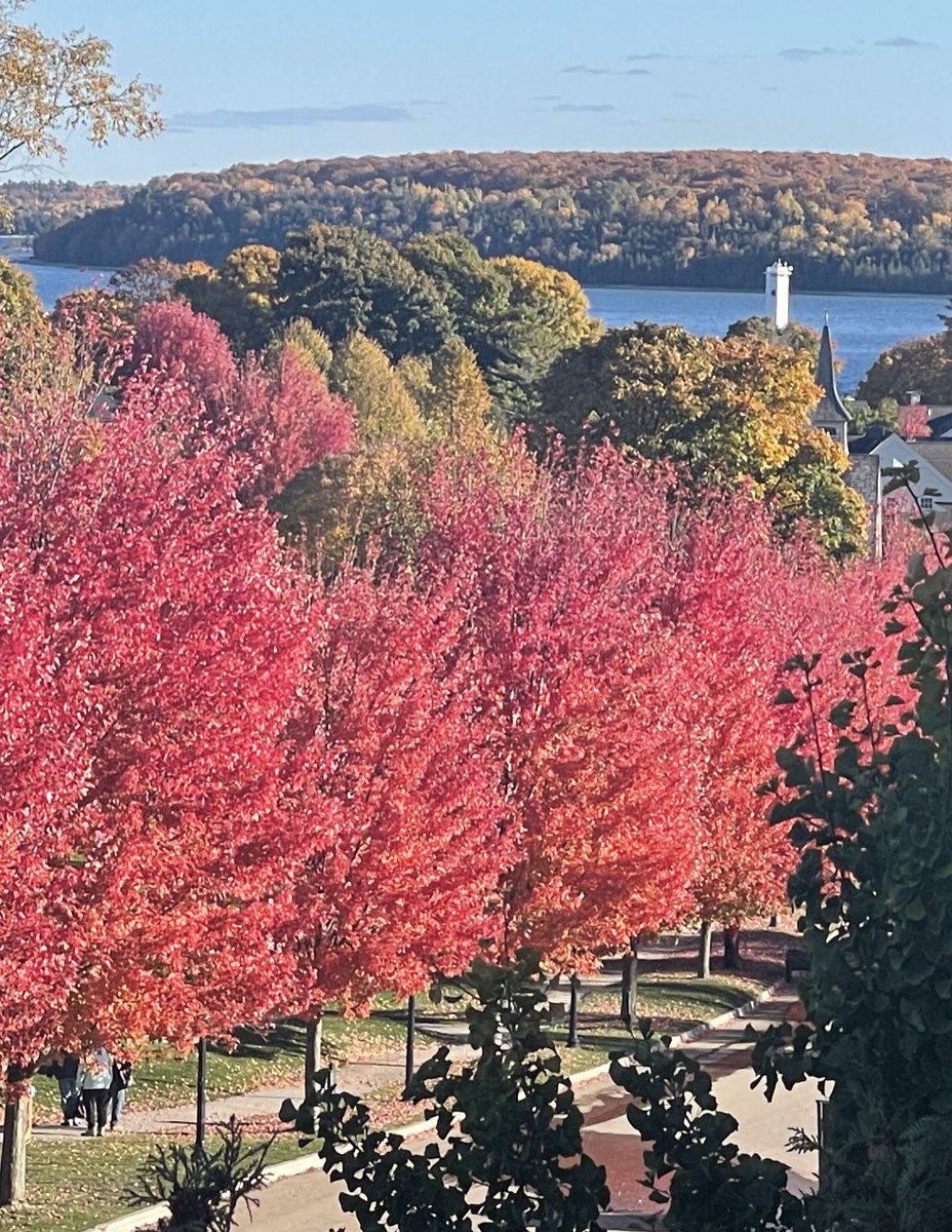 I’ve never seen such vibrant Fall colors as I did on our drive through northern Michigan. Stunning! This photo doesn’t do it justice.