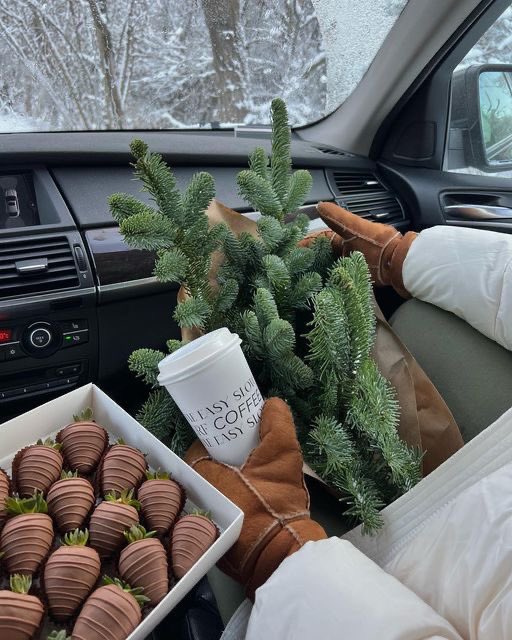 dazzlinghavens's tweet photo. Winter https://t.co/hlnHtDSO2Z