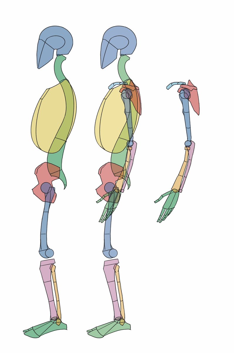 「」|伊豆の美術解剖学者のイラスト