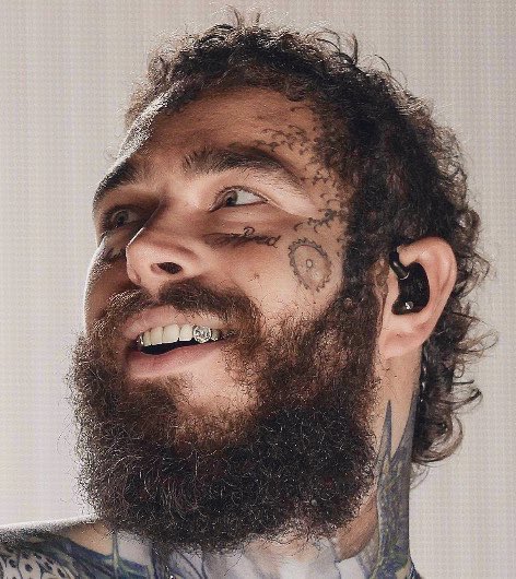 Post Malone Fans tweet media