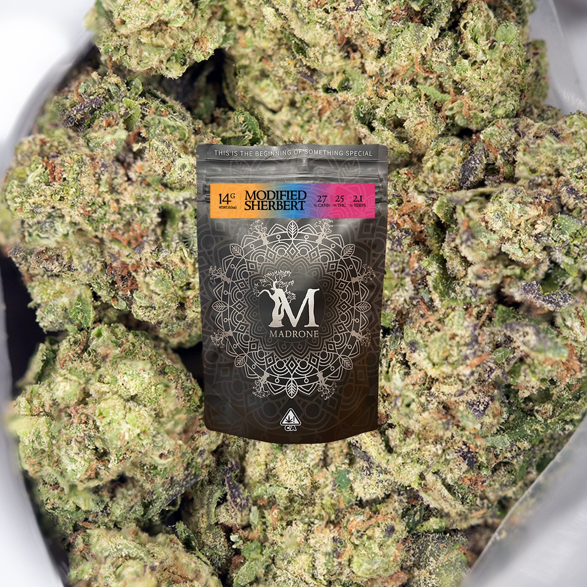 madronegrown's tweet photo. MODIFIED SHERBERT
27% CANN | 25% THC | 2.1% TERPS

Now available @7STARSHHC 🥳

Find a shop near you: https://t.co/ZBQSjZ9L1H

#cannabis #Mmemberville #chronic #norcal #mendocino #madronefam #stoners #nugs #flowers https://t.co/u2xeo86raf
