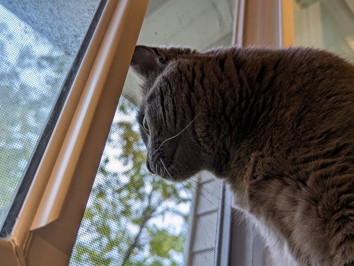 Guy at the Legion is telling me how outdoorsy his granddaughter is - dirt biking, snowmobiling, etc. - and I had to resist the urge to be like "yeah my daughter is really into hunting" lol