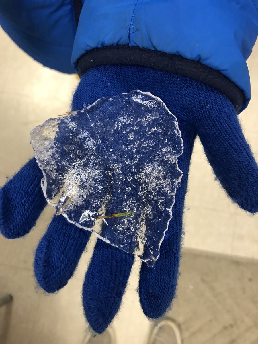 “Kindness is like snow, it beautifies everything it covers!” - Kahlil Gibran

Students have been enjoying the freshly fallen snow and finding icy treasures created by nature! Take a look at this incredible ice print of a leaf! 🍂 ❄️  <a href="/DHSDhillon/">Avieneet Dhillon</a>