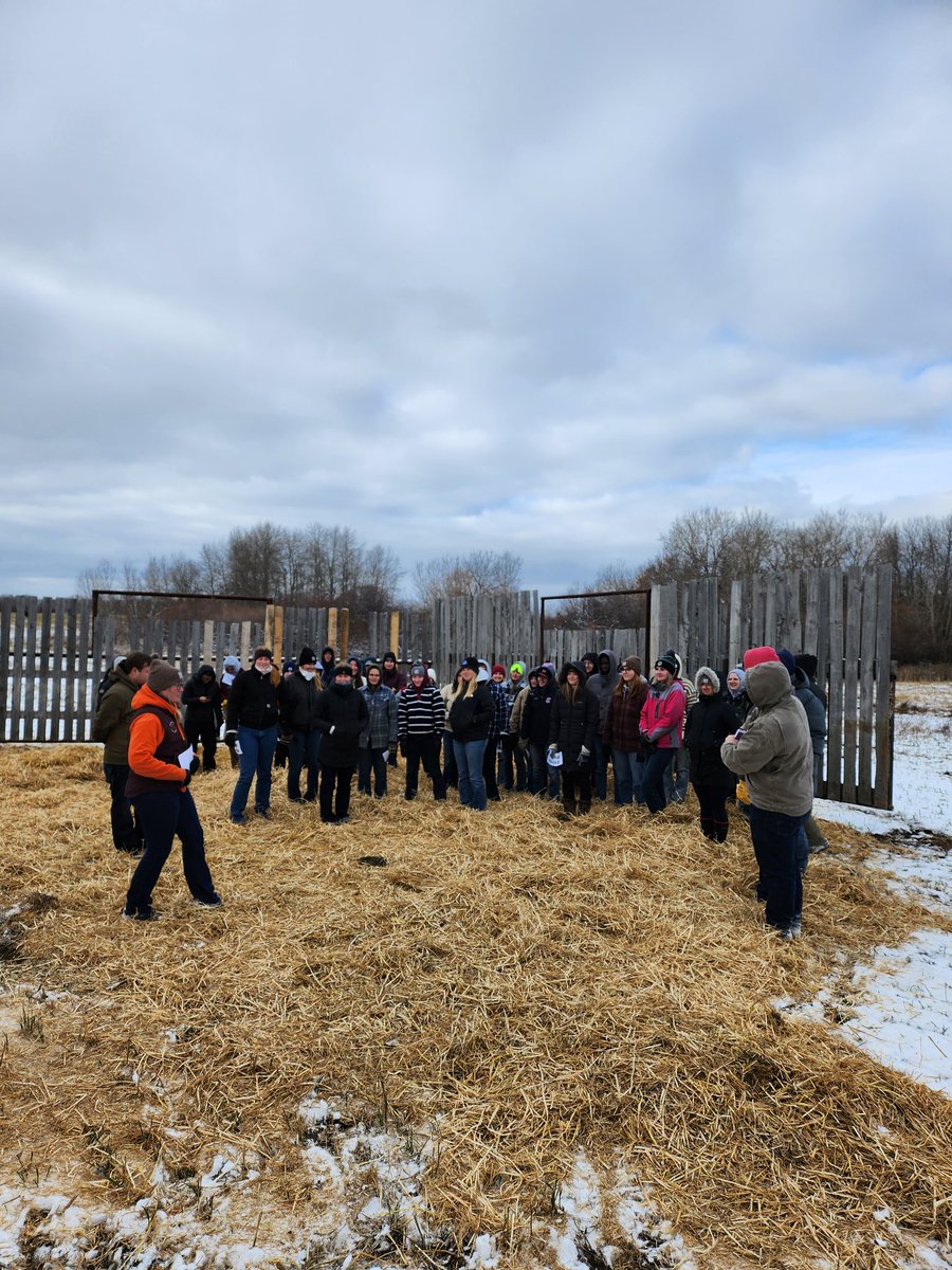Dr Bart Lardner 🇨🇦 (@drbart_beef) on Twitter photo #LardnerLab #AppliedBeefResearch #ANSC410 #GrazingPolyCrops #CanolaFatResearch #AnimalScienceStudents <a href="/ShelbyRobinson_/">Shelby Robinson</a> <a href="/cabritanchak/">Cabri Tanchak</a> <a href="/K_Nielsen2/">Kaitlyn Nielsen</a> <a href="/agbiousask/">USask AgBio</a> #LardnerLab #AppliedBeefResearch #ANSC410 #GrazingPolyCrops #CanolaFatResearch #AnimalScienceStudents <a href="/ShelbyRobinson_/">Shelby Robinson</a> <a href="/cabritanchak/">Cabri Tanchak</a> <a href="/K_Nielsen2/">Kaitlyn Nielsen</a> <a href="/agbiousask/">USask AgBio</a>