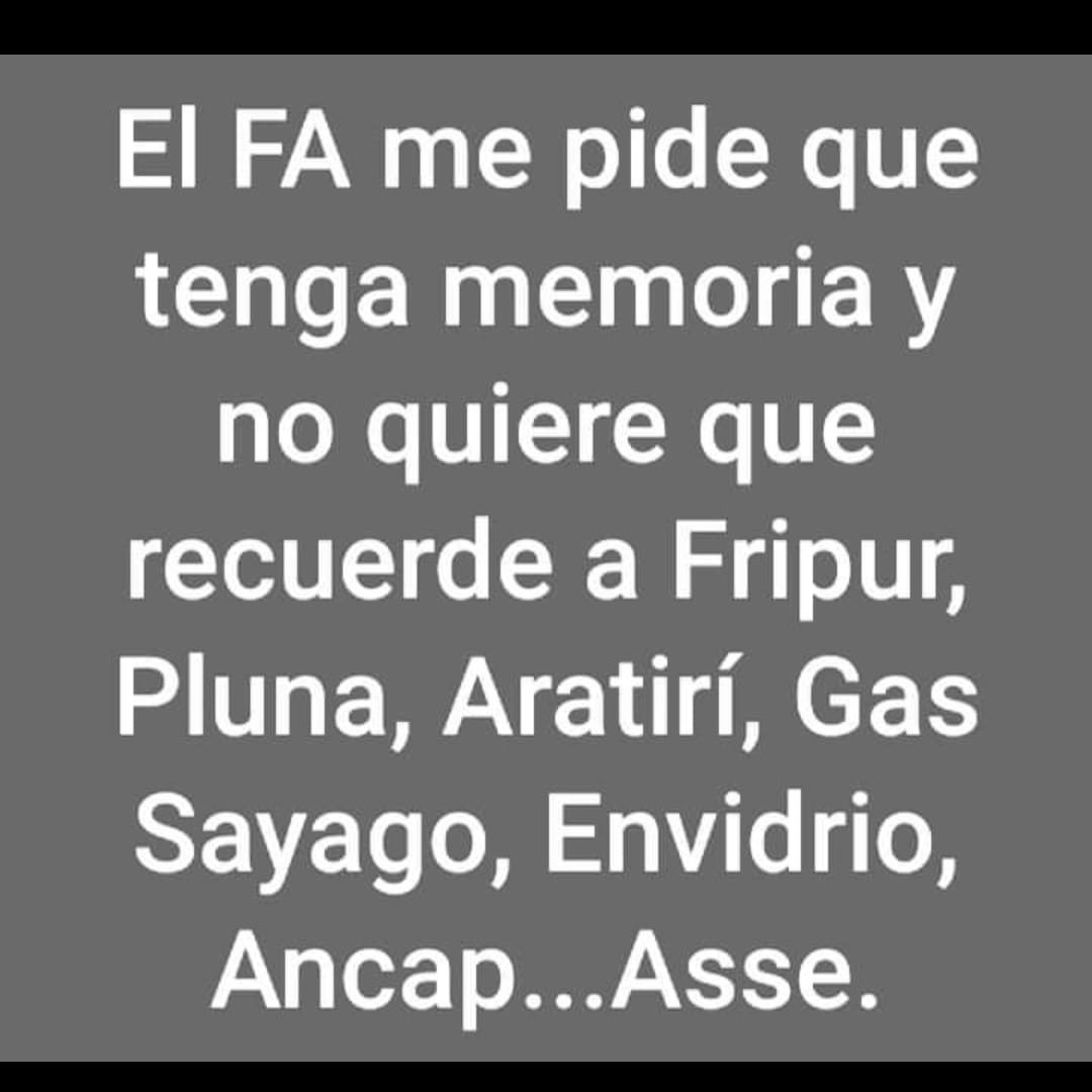 Elsa Kunstädter tweet media