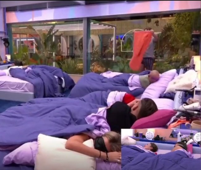 a_p_ch_'s tweet photo. Luitingo le ha sudado los huevos la carta de @Pilarllorii.
#GHVIP25O #GHVIP26O https://t.co/AHQJvv4rwA