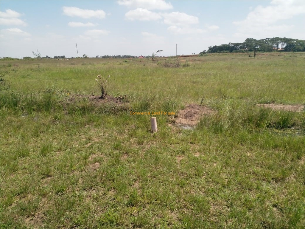 SimkarGroup's tweet image. 2.5 Acres Of Land For Sale in Ruiru(Behind NIBS Collage &amp;amp; Spur Mall)

Please see more details on our website using the link below: bit.ly/3PVHoQX

Call us at 0728 990415 and or +254 773 587 407

#propertiesinruiru
#Propertiesforsale
