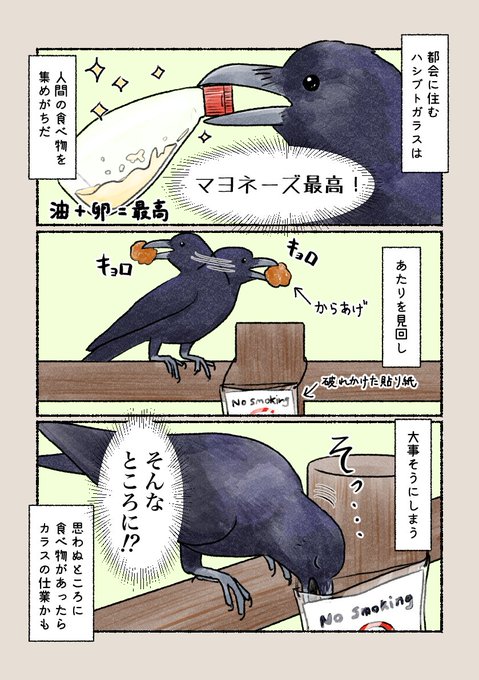 意外と知らない鳥の生活 「ハシブトガラスの貯食1」 確かに盲点だけど…そこに!?食べる物も、隠す場所も都会ならではです。