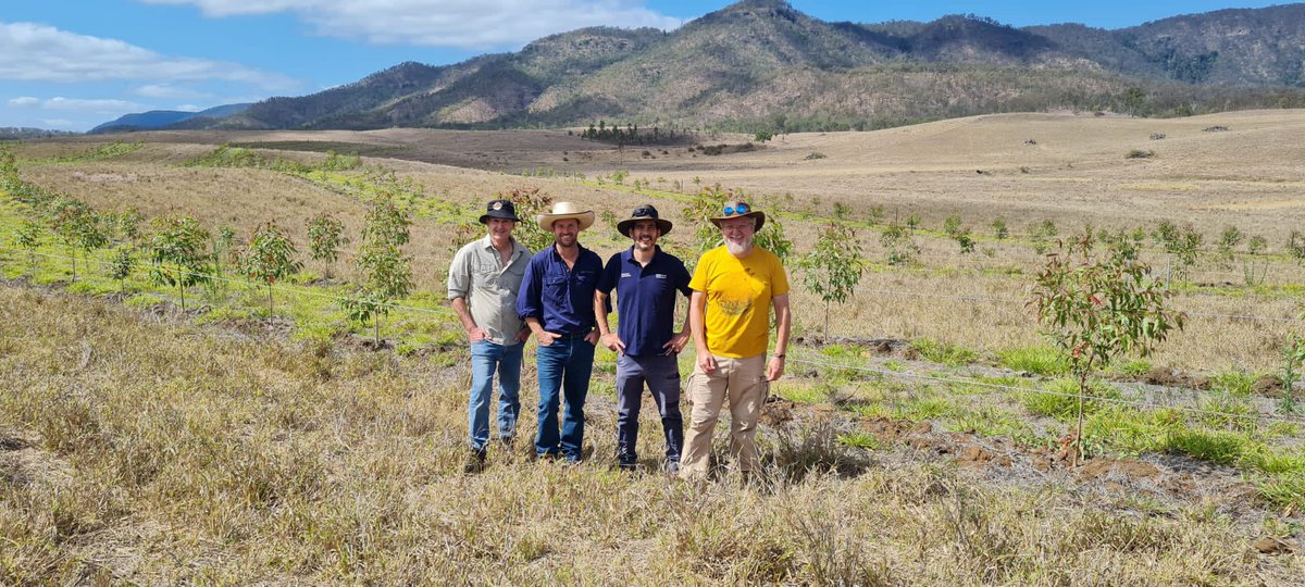 Adam Coffey tweet media