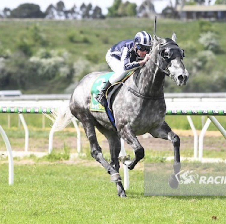 Steven king (@kingsteven1969) on Twitter photo Great day at Kyneton yesterday with our big boy Top Arctic getting the job done.<a href="/Racing/">Racing.com</a> <a href="/FlemingtonVRC/">Victoria Racing Club</a> <a href="/KynetonHRock/">KHRRC</a> Great day at Kyneton yesterday with our big boy Top Arctic getting the job done.<a href="/Racing/">Racing.com</a> <a href="/FlemingtonVRC/">Victoria Racing Club</a> <a href="/KynetonHRock/">KHRRC</a>