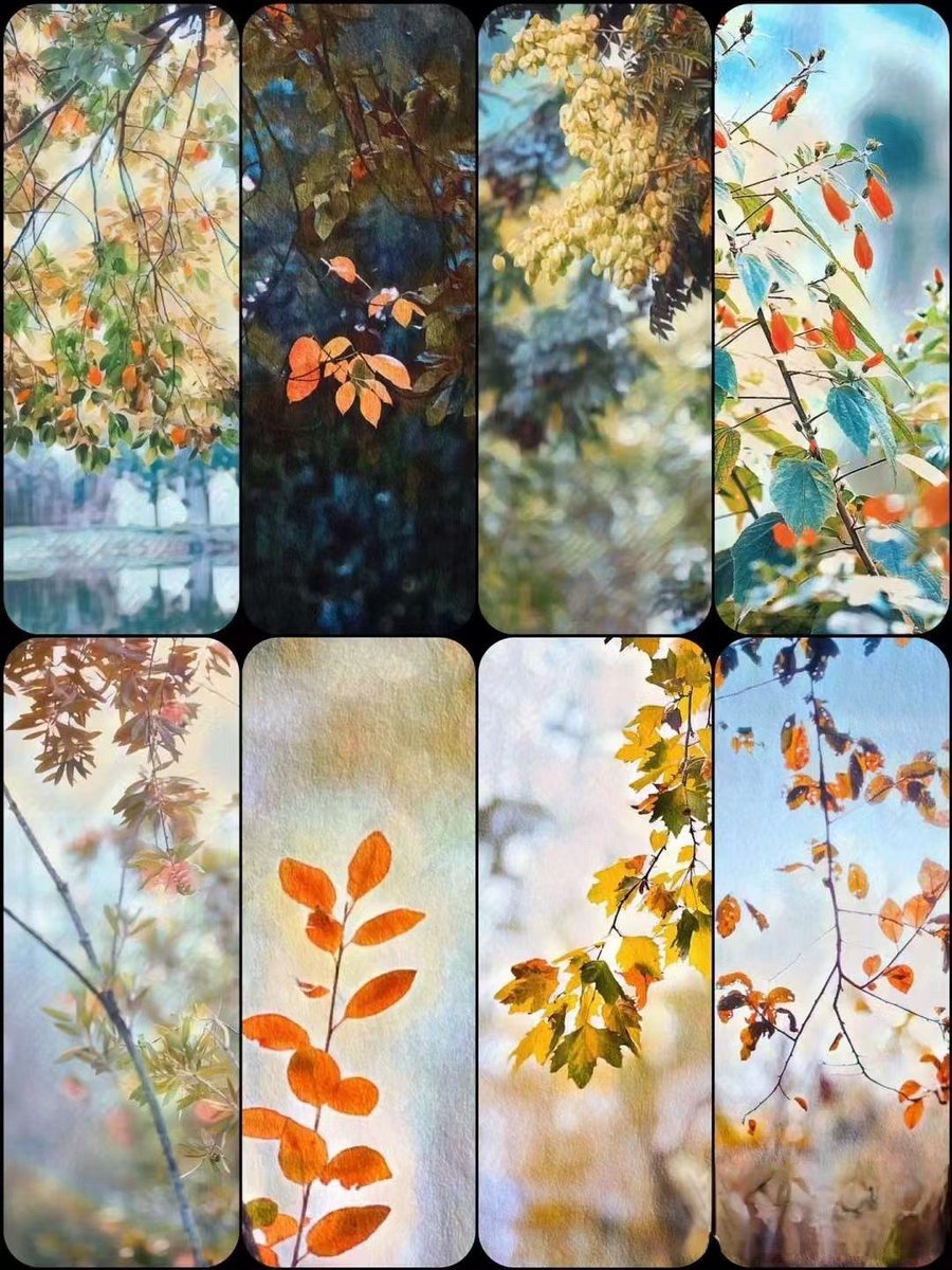 yvrnetwork's tweet image. 