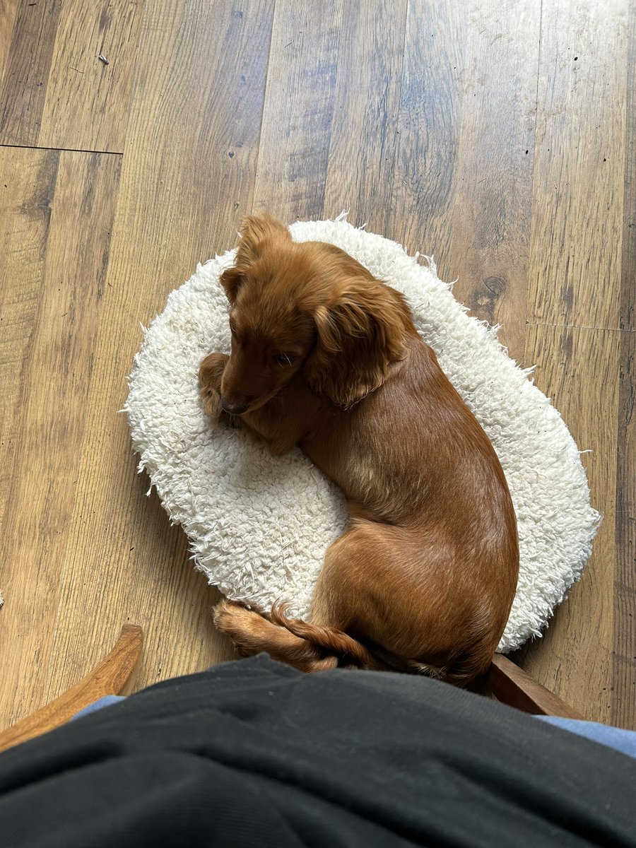 Claire Terrington tweet media