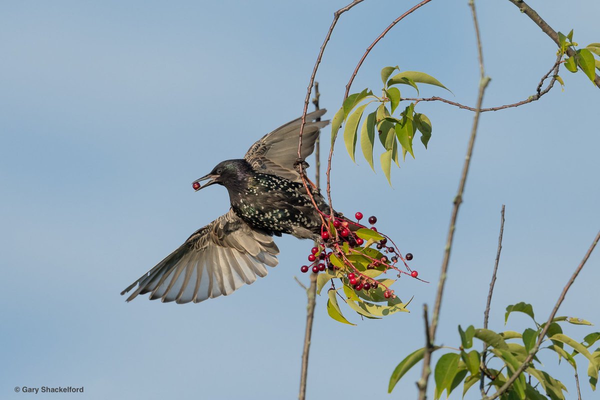 PAISAJE lab tweet media