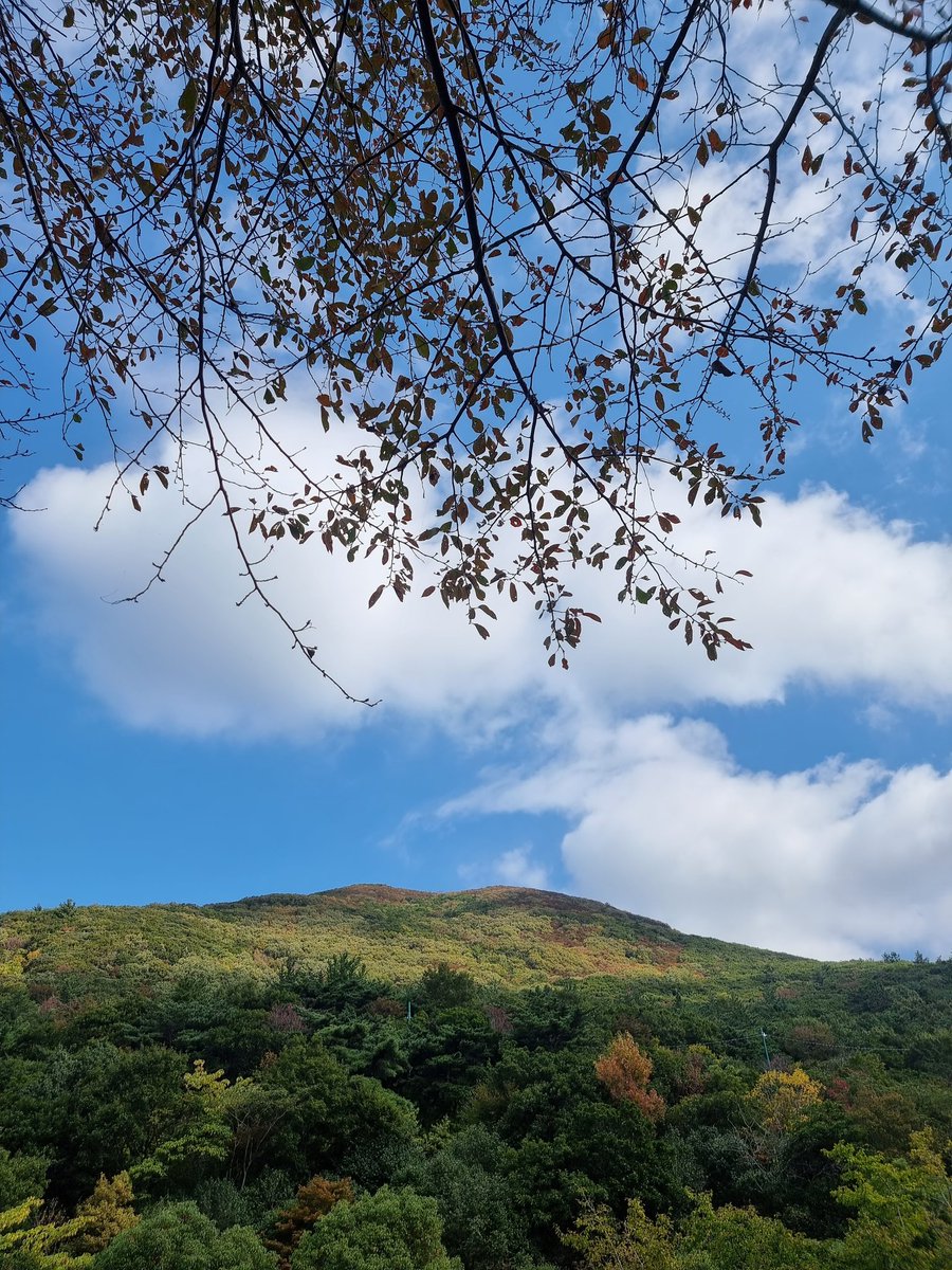 완도수목원
가을