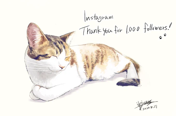 #このタグを見た人は黙って猫を貼る
