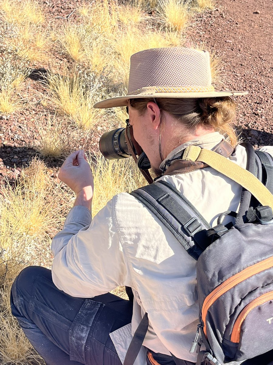 Lauren Weidner, Ph.D., D-ABFE (@drlaurenweidner) on Twitter photo Always love being able to capture the behind the scene photos of the work we do. <a href="/OrganPipeNPS/">Organ Pipe Cactus NM</a> thank you for being so supportive of our #insectbiodiversity work. And @ameeds11 thank you for crushing it EVERY trip. Always love being able to capture the behind the scene photos of the work we do. <a href="/OrganPipeNPS/">Organ Pipe Cactus NM</a> thank you for being so supportive of our #insectbiodiversity work. And @ameeds11 thank you for crushing it EVERY trip.