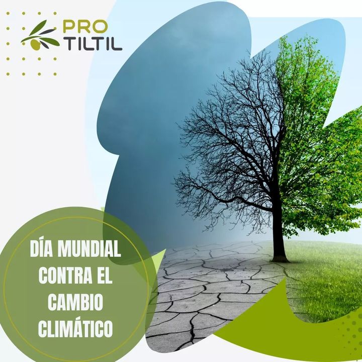 🌳Hoy se celebra el Día Mundial contra el Cambio Climático. ¡En Pro Tiltil, junto a nuestras empresas socias, estamos comprometidos en la lucha contra este fenómeno!

#tiltil #protiltil #díainternacionalcontraelcambioclimático #sostenibilidad